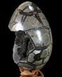 Septarian Dragon Egg Geode - Removable Section #88192-4